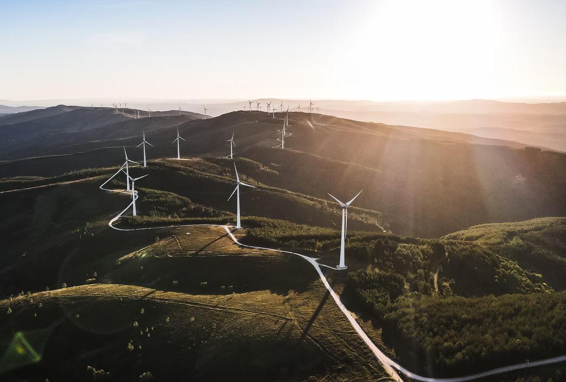 Renewable Energy Market Forecast